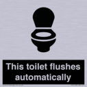 this-toilet-flushes-automatically~